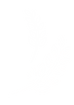Teiggerichte.png